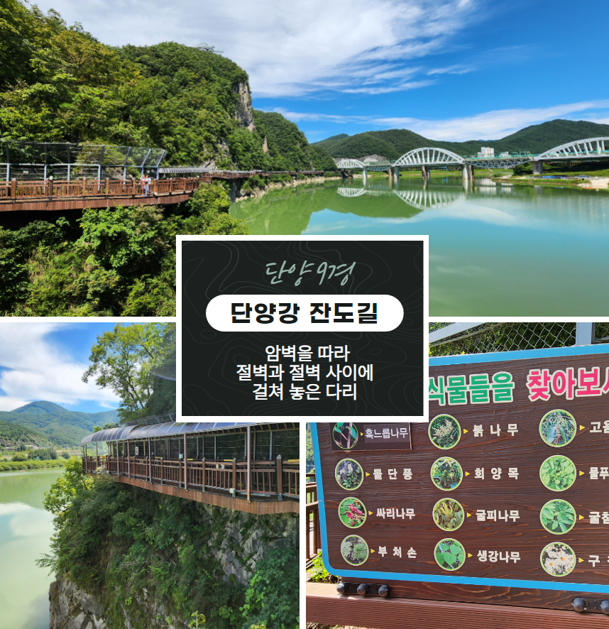 단양강 잔도길 단양 9경 중에 으뜸 - 리얼 스토리