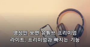 영상만 보면 유튜브 프리미엄 라이트, 프리미엄과 빠지는 기능