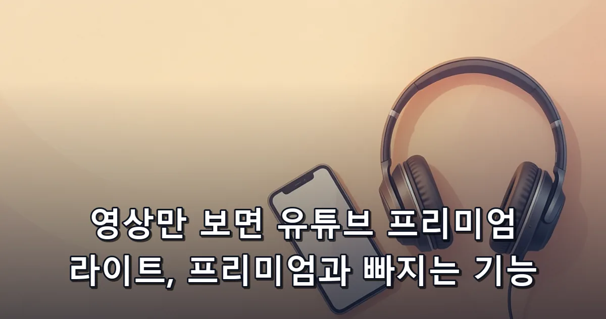 영상만 보면 유튜브 프리미엄 라이트, 프리미엄과 빠지는 기능