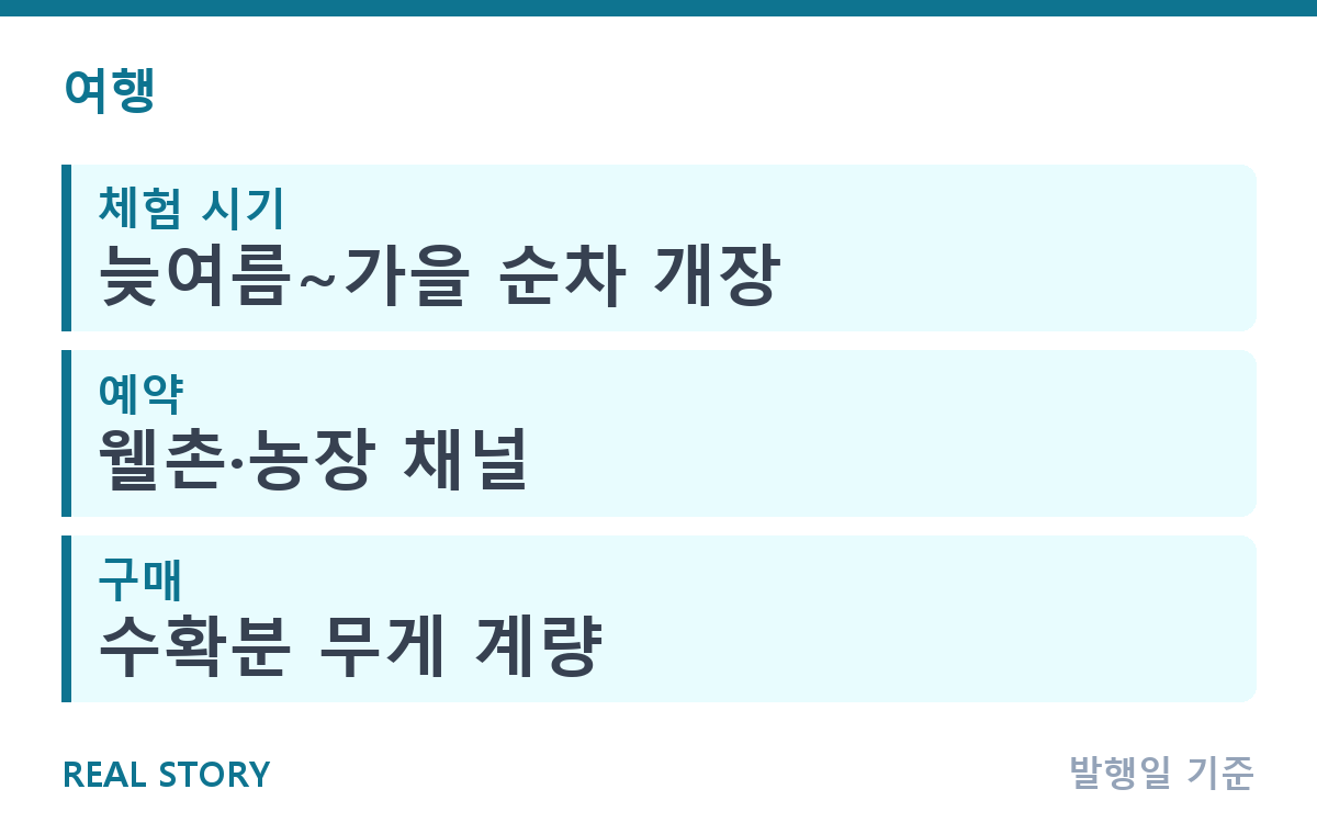 사과·배 수확 체험, 언제부터 갈 수 있을까? 준비물까지 핵심 정보