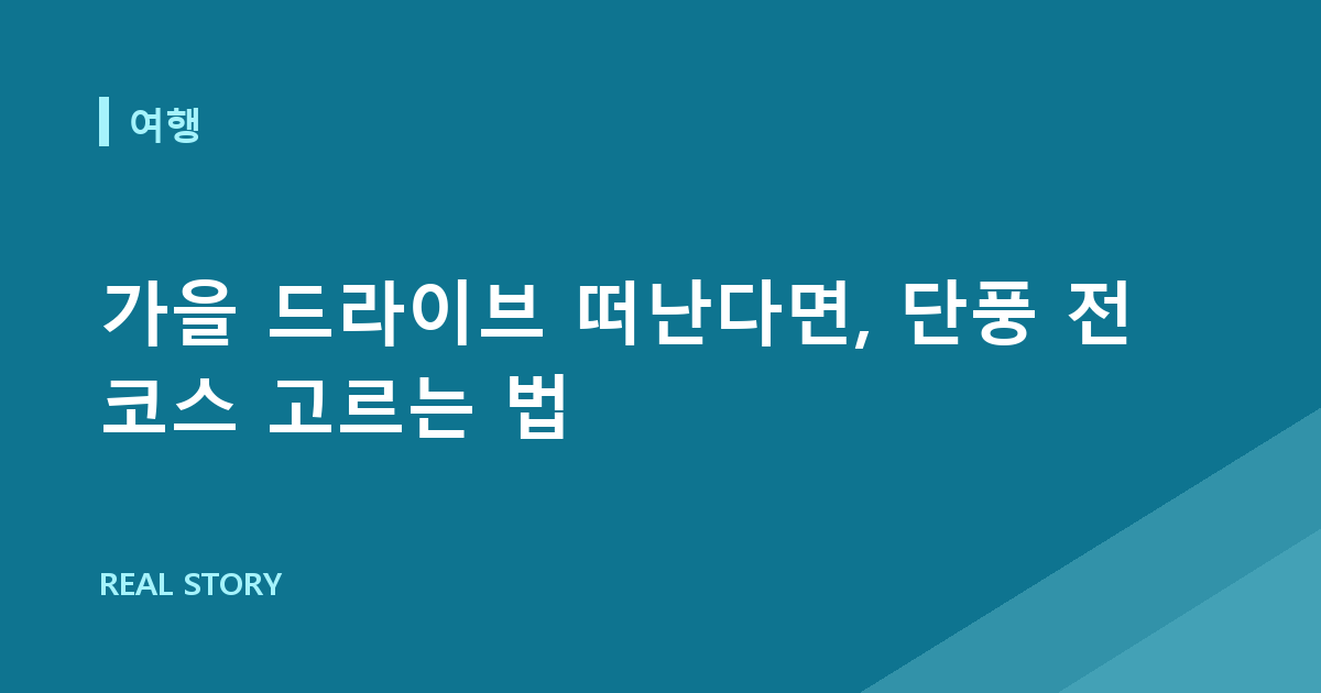 가을 드라이브 떠난다면, 단풍 전 코스 고르는 법