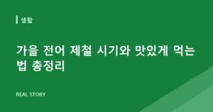 가을 전어 제철 시기와 맛있게 먹는 법 총정리