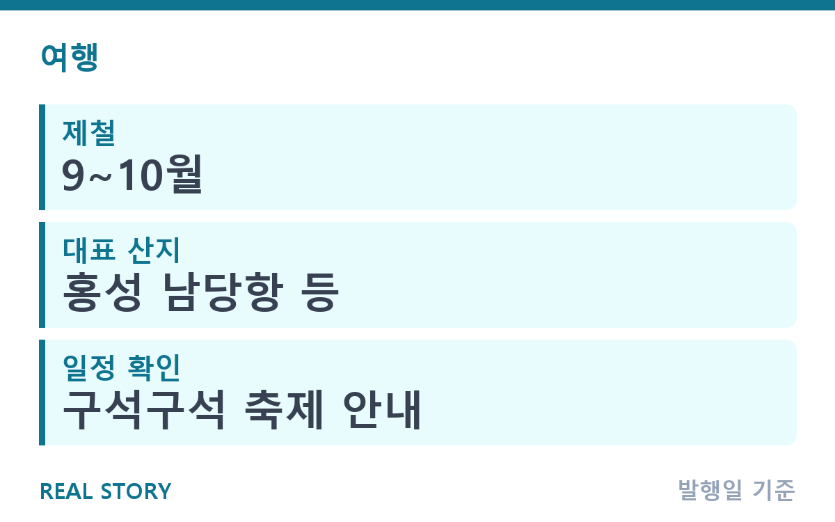 가을 대하 제철 시기와 축제, 고르는 법까지 총정리 핵심 정보
