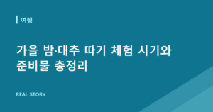 가을 밤·대추 따기 체험 시기와 준비물 총정리