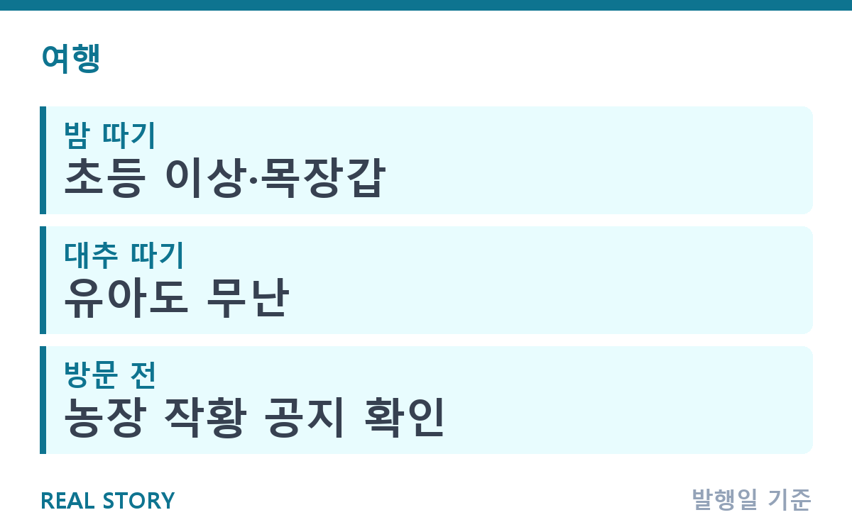 가을 밤·대추 따기 체험 시기와 준비물 총정리 핵심 정보