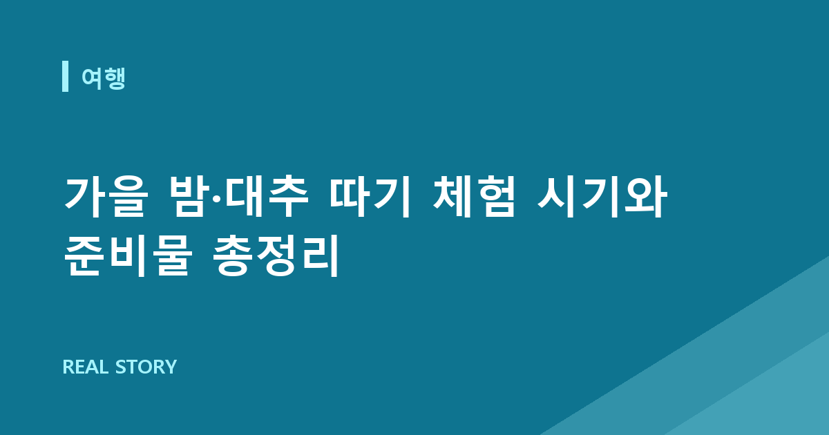가을 밤·대추 따기 체험 시기와 준비물 총정리