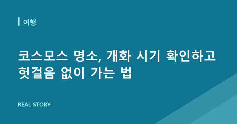코스모스 명소, 개화 시기 확인하고 헛걸음 없이 가는 법