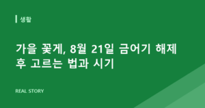 가을 꽃게, 8월 21일 금어기 해제 후 고르는 법과 시기