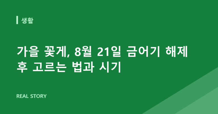 가을 꽃게, 8월 21일 금어기 해제 후 고르는 법과 시기