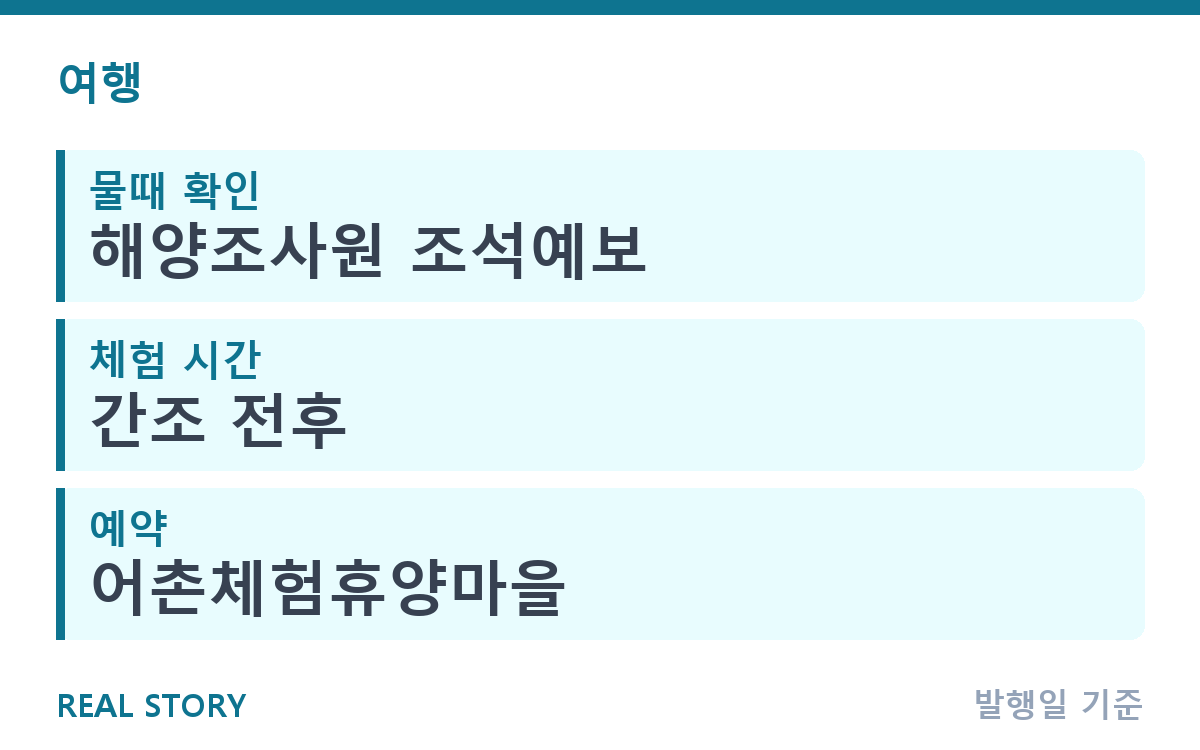 가을 갯벌 체험, 물때 보는 법과 준비물 총정리 핵심 정보