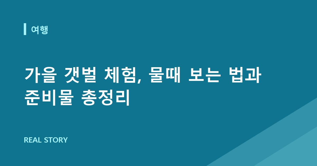 가을 갯벌 체험, 물때 보는 법과 준비물 총정리