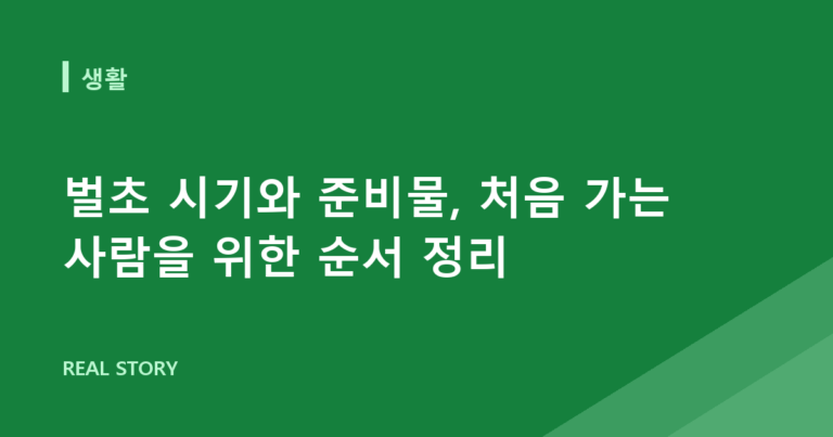 벌초 시기와 준비물, 처음 가는 사람을 위한 순서 정리