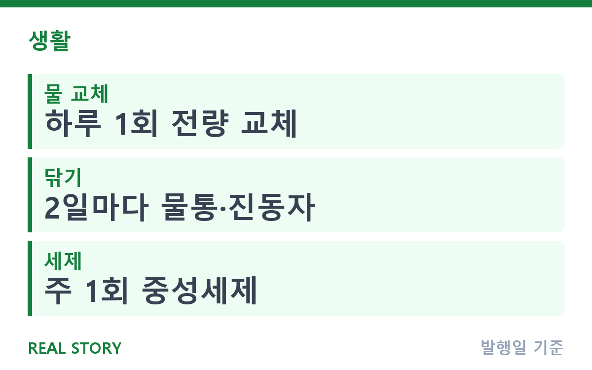 가습기 물 하루 한 번, 꺼내기 전 세척·건조 순서 핵심 정보
