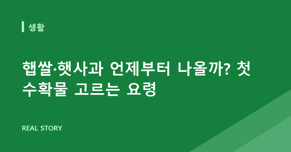 햅쌀·햇사과 언제부터 나올까? 첫 수확물 고르는 요령