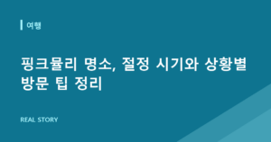 핑크뮬리 명소, 절정 시기와 상황별 방문 팁 정리