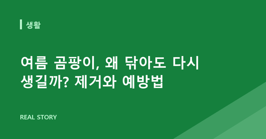여름 곰팡이, 왜 닦아도 다시 생길까? 제거와 예방법