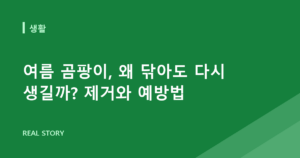 여름 곰팡이, 왜 닦아도 다시 생길까? 제거와 예방법