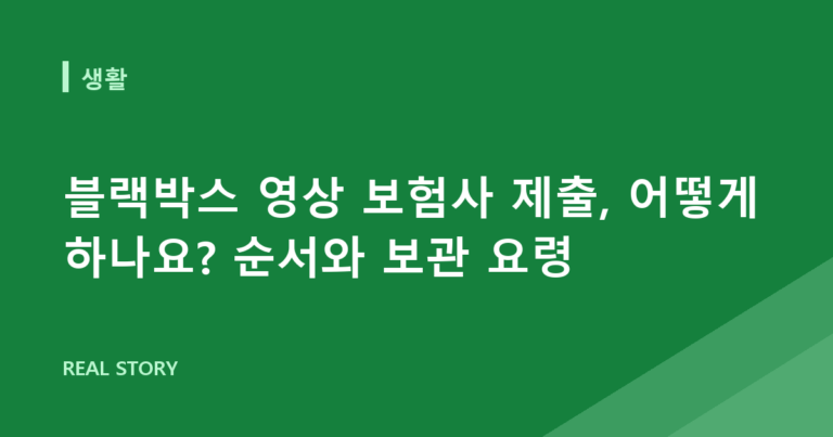 블랙박스 영상 보험사 제출, 어떻게 하나요? 순서와 보관 요령