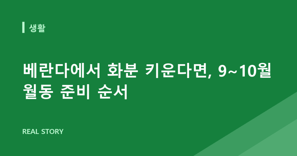 베란다에서 화분 키운다면, 9~10월 월동 준비 순서