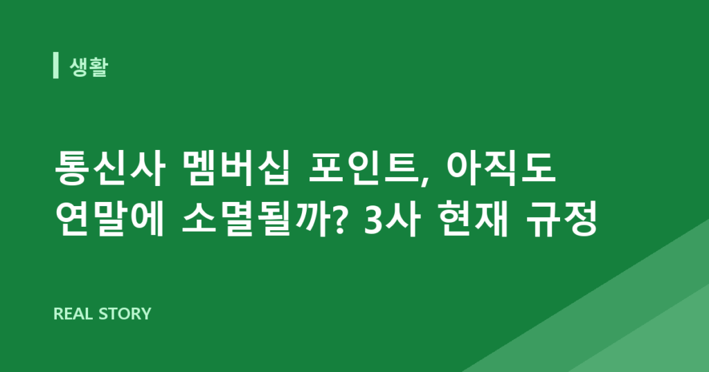 통신사 멤버십 포인트, 아직도 연말에 소멸될까? 3사 현재 규정