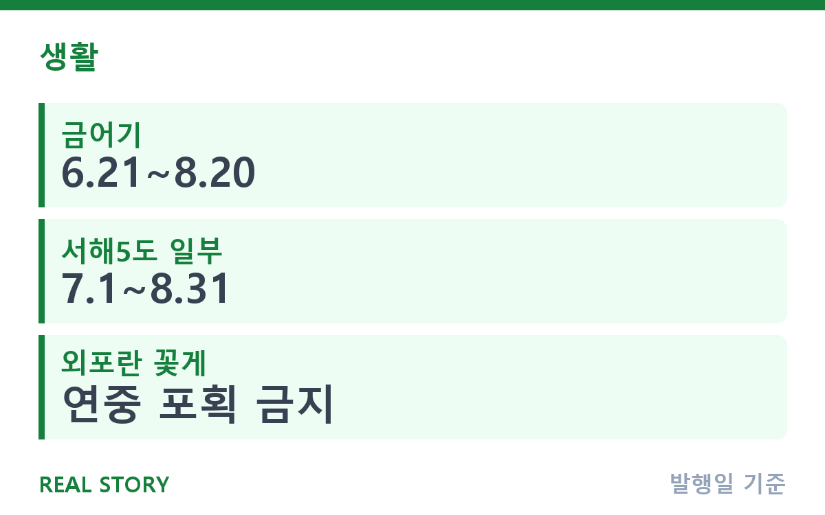 가을 꽃게, 8월 21일 금어기 해제 후 고르는 법과 시기 핵심 정보
