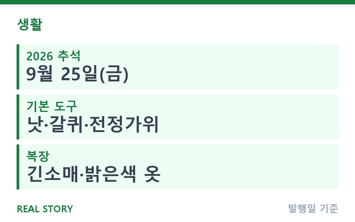 벌초 시기와 준비물, 처음 가는 사람을 위한 순서 정리 핵심 정보