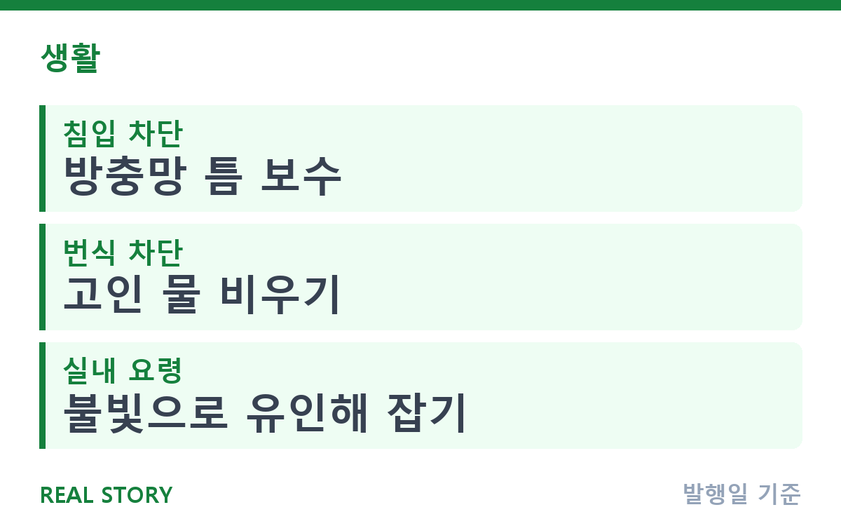 늦여름 모기·날벌레, 집에서 퇴치하는 생활 방법 핵심 정보