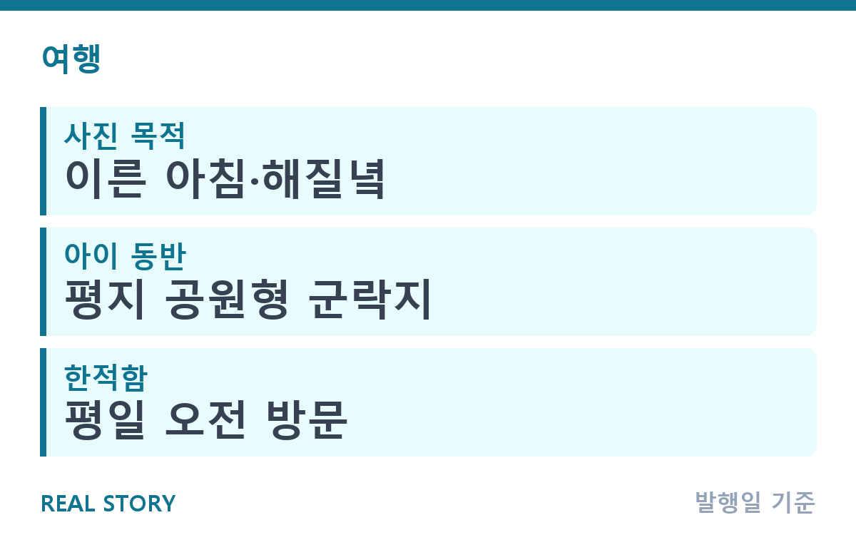 핑크뮬리 명소, 절정 시기와 상황별 방문 팁 정리 핵심 정보