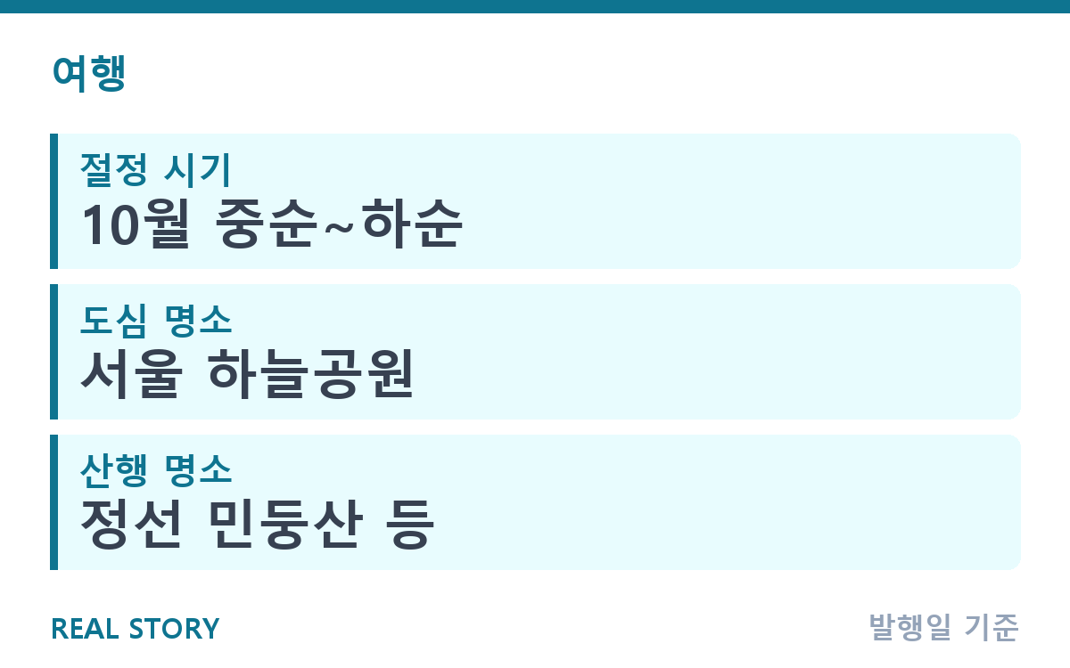 억새 절정 언제? 전국 억새 명소와 늦지 않게 가는 법 핵심 정보