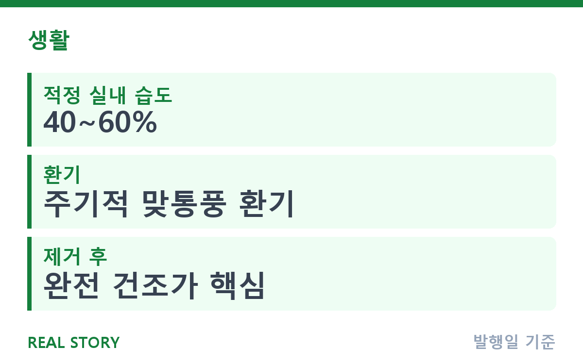 여름 곰팡이, 왜 닦아도 다시 생길까? 제거와 예방법 핵심 정보